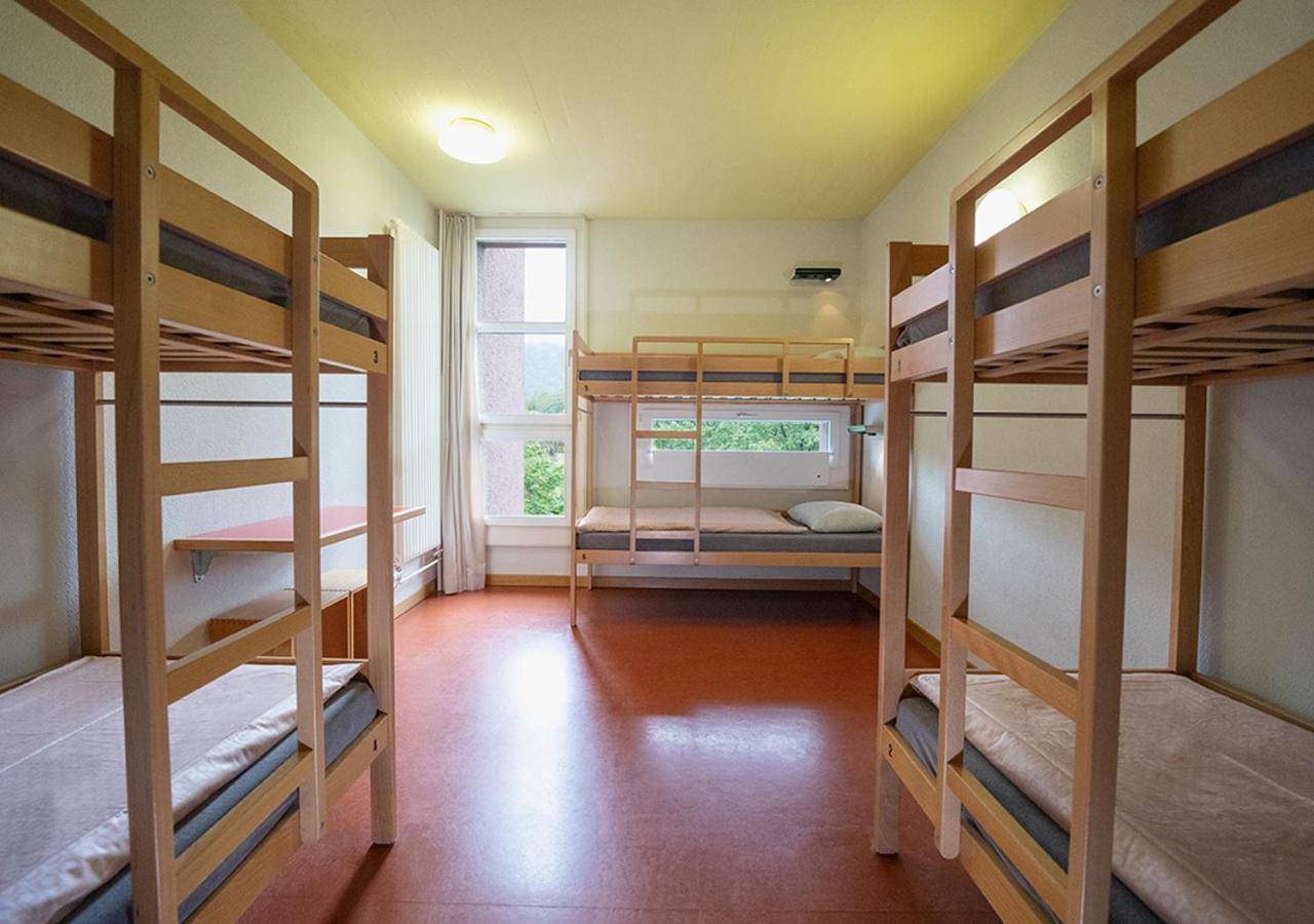 Bed in 6-Bed Dormitory Room,1022398594:JPEG